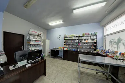 Przychodnia dla zwierząt "Pies Kudłaty"